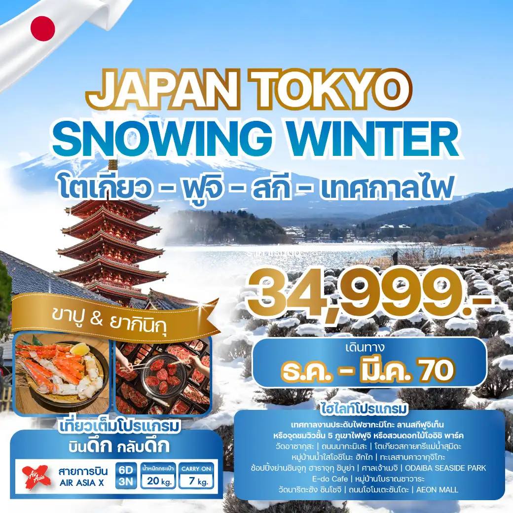 ทัวร์ญี่ปุ่น JAPAN TOKYO SNOWING WINTER 6วัน 3คืน (XJ)